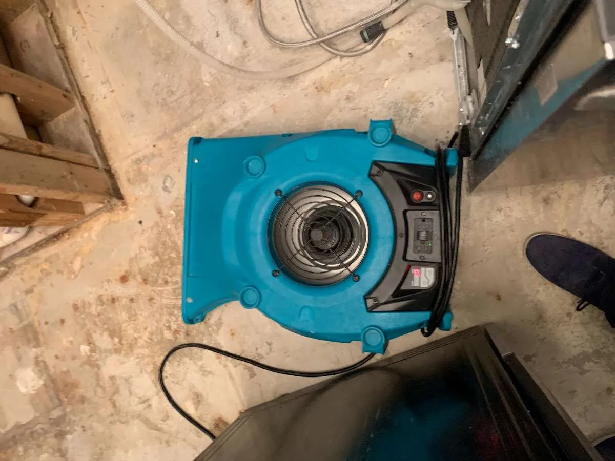 Air mover drying equipment for Mold Remediation & Removal in New Britain
